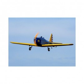 Hangar 9 Fun Scale PT-19 Plug-N-Play Electric Airplane