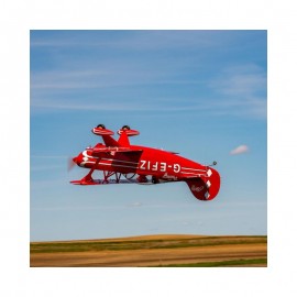 Hangar 9 Pitts S-2B 50-60cc with DLE 60cc Twin Engine