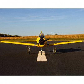 E-flite Carbon-Z T-28 Trojan 2.0m Plug-N-Play Electric Airplane (1980mm)